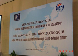 Asia-Pacific Forum